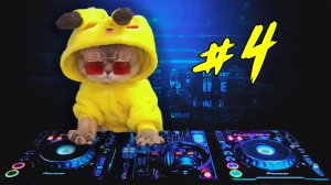 Purrfect #4 (funny cats TikTok) приколы с котами 2022!