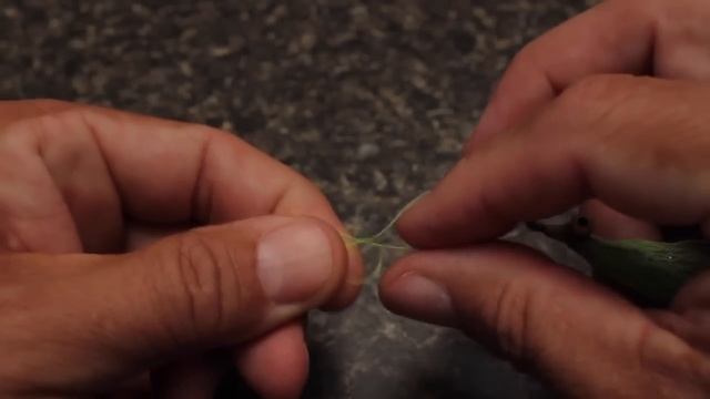 Non Slip Loop Knot смотреть онлайн