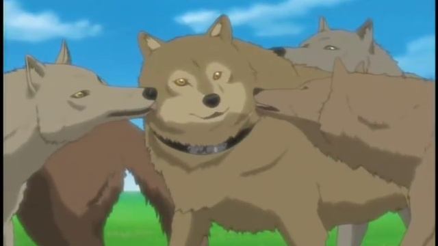 Wolf's Rain AMV - Paradise (Coldplay) смотреть онлайн