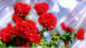 Футаж. Цветочный фон 78