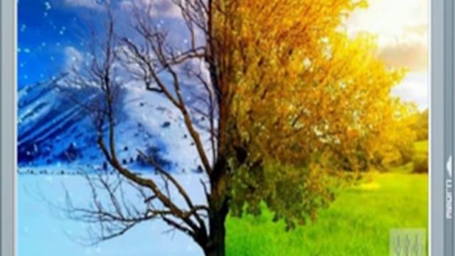 Запись вебинара "Судьба.Предрешено или можно изменить?" смотреть онлайн