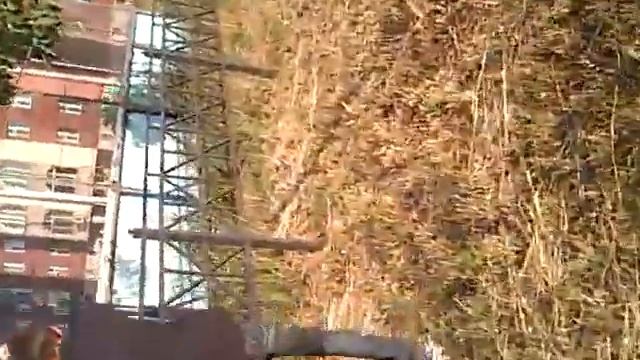 Максим дурак D часть 1 смотреть онлайн