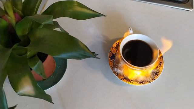 КОФЕ НА ОГНЕ.ALEVLI KAHVE.COFFEE ON FIRE.как приготовить кофе смотреть онлайн