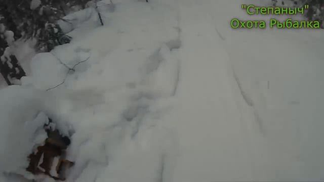 18 заезд Проверка ловушек Движка соболя (2 часть) 30 01 19 смотреть онлайн