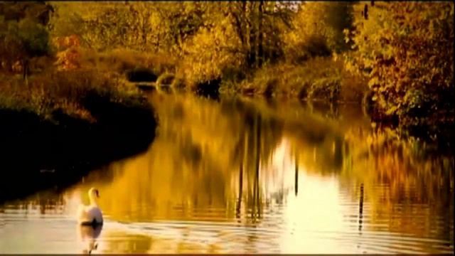 Осень в сердце стихи Леонид Забелин смотреть онлайн