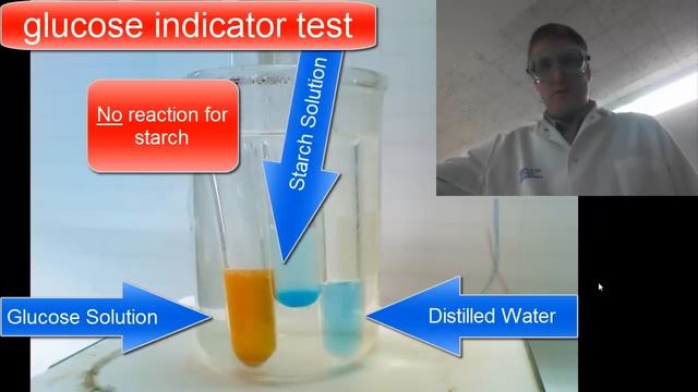 Diffusion Through a Membrane Lab- Chemical Indicators смотреть онлайн