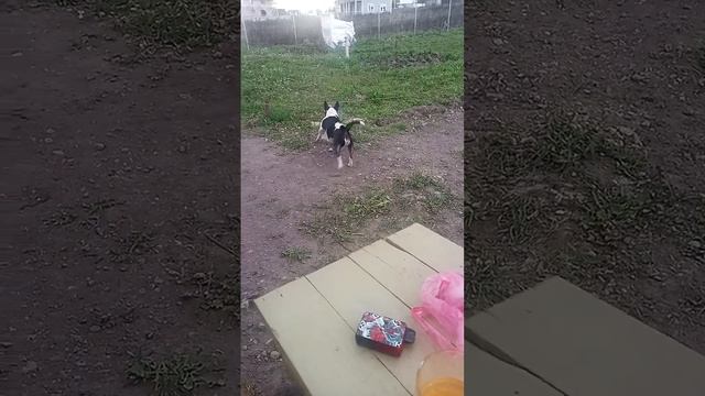 Охрана садовых участков. Дорого.