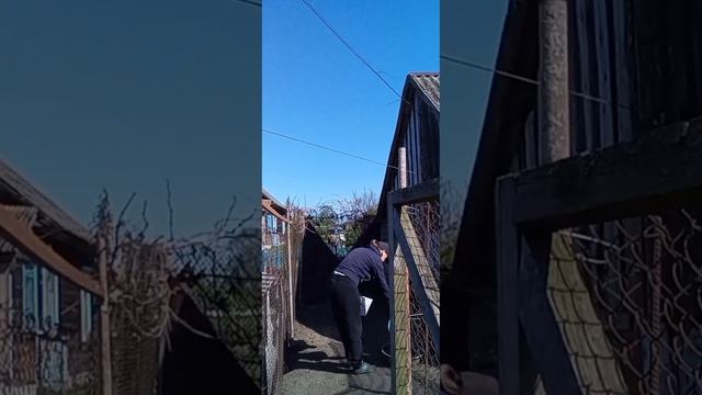 Нам ГОД!Подставка под телефон и лейка своими руками.Антидипрессанты мои. #однавдревне#всёсама смотреть онлайн