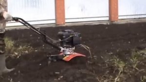 Мотокультиватор Тарпан, целина за два прохода.