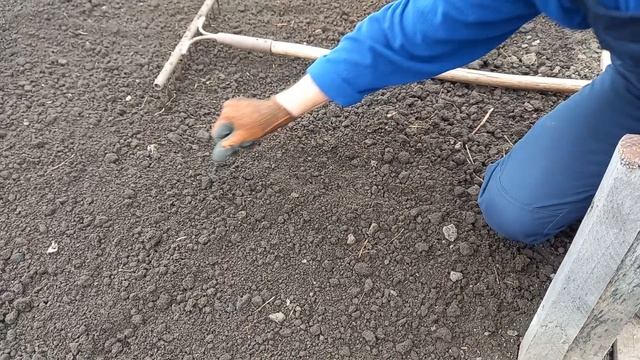 Подготовка почвы для рассады томатов, перца Как подготовить землю для посадки баклажан своими рукам смотреть онлайн