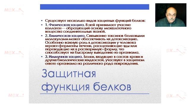 Коктейли и супы Вэлнесс - как источник белка для организма
