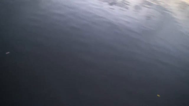 селедка рыбалка бруклин на канале herring fishing brooklyn смотреть онлайн