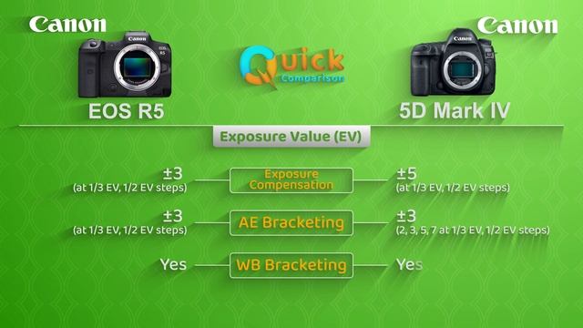 CANON EOS R5 vs CANON EOS 5D Mark IV | Quick Camera Comparison смотреть онлайн