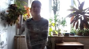 Заматываем мою подругу в пищевую плёнку)))))