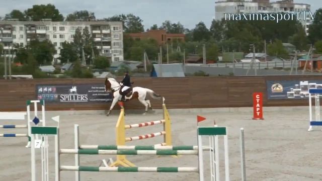 Продажа Ахалтекинских лошадей Sale of Akhal-Teke horses https://akhaltekellc.com смотреть онлайн