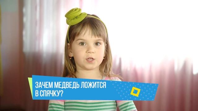 Хочу сказать! Зачем медведь ложится в спячку? смотреть онлайн