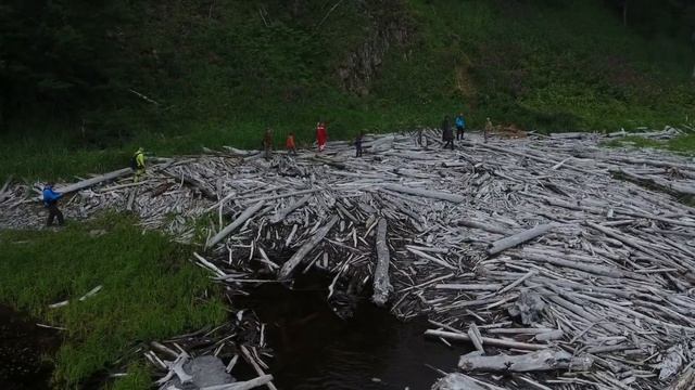 Тайны Шантарских островов: Гренландские киты и Загадочные Артефакты смотреть онлайн