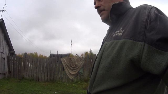 впечатлительным не смотреть! работа волков в посёлке.21.09.20 г. смотреть онлайн