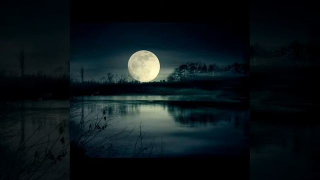 Moonlight Sonata смотреть онлайн