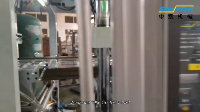 PET Fruit Box Thermoforming Machine Egypt