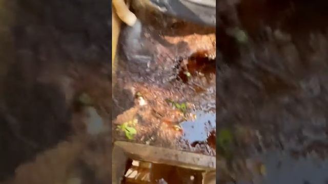 Clogged AC Drain смотреть онлайн