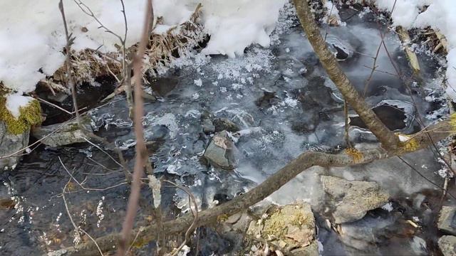 Заповедник Красноярские Столбы(1) смотреть онлайн