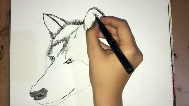 How to Draw a Wolf in 3 Minutes ? Halloween 2023 | Drawing Tutorial with Pointer ✍️ смотреть онлайн