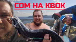 ЛОВЛЯ СОМА НА КВОК | СОМ НА ПЕЧЕНЬ И НА ЖИВЦА ЧТО ЛУЧШЕ | ЛОВИМ ЩУКУ ПОДСАЧЕКОМ | КРАСОТЫ ВОЛГИ