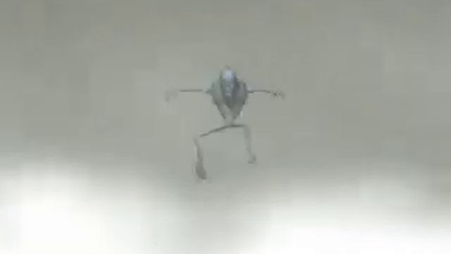 Pencil vs Pixel смотреть онлайн