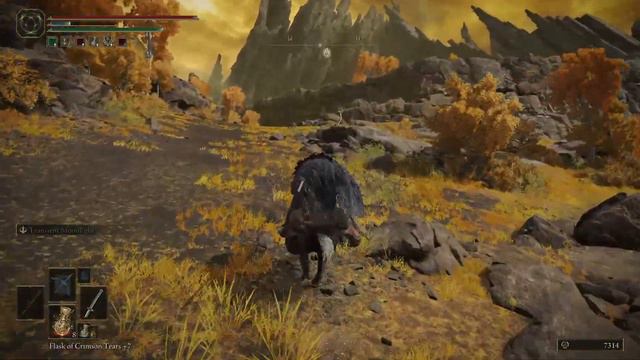 🔴 Elden Ring - They're definitely going to nerf this смотреть онлайн