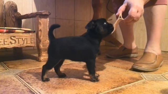 VID 20160203 105411