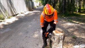 Как спилить дерево с оттяжкой, Екатеринбург, Свердловская область