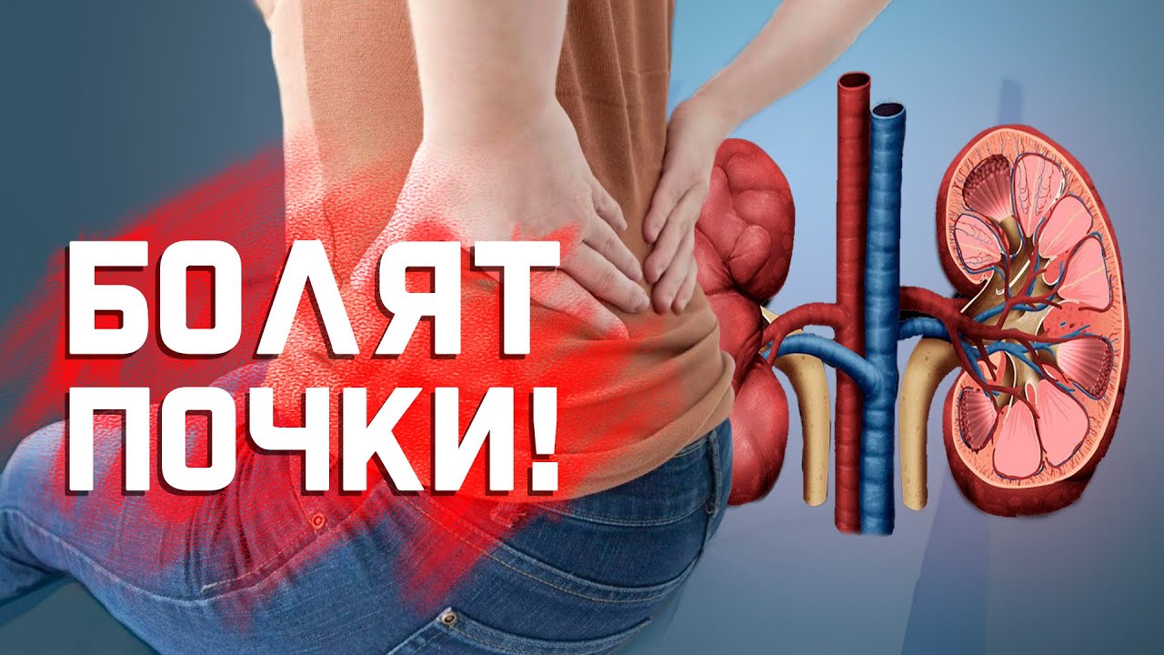 Когда поясница болит из-за почек? смотреть онлайн