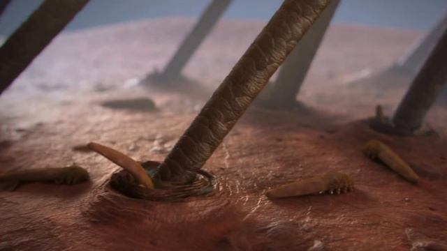 Уход за лицом: чистка и лифтинг