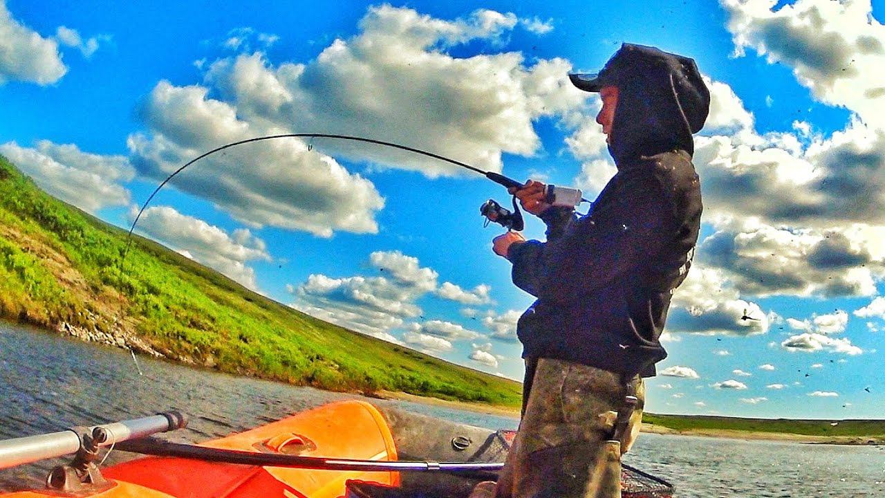 ВОДА КИПИТ ОТ РЫБЫ В ЭТОЙ РЕКЕ !! ЗАПОЛЯРНАЯ РЫБАЛКА !!! смотреть онлайн