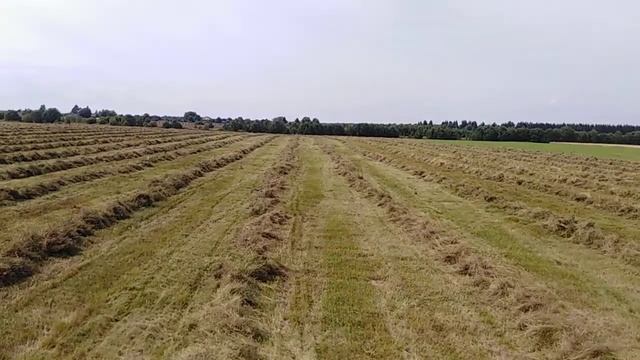 Сенокос 2020 август смотреть онлайн