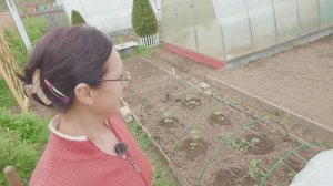 Видео привет 6 соток 14 мая 2024 года. Арбузы и дыни..