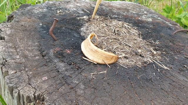 #влог#огород#дача#баня Купил дачу 13 соток. Сезон 1 серия 8. Борьба с муравьями,установил гамак. смотреть онлайн