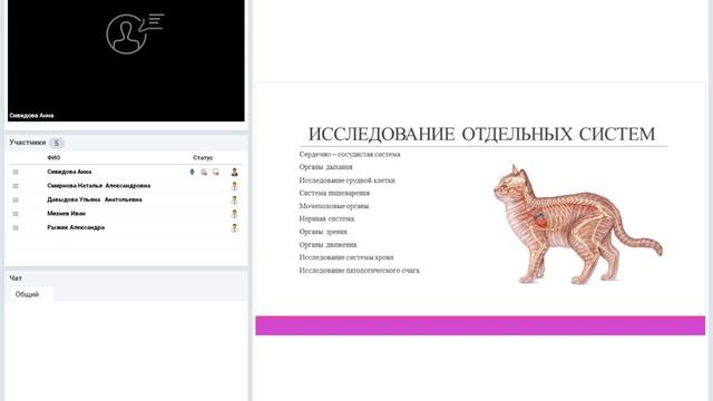 Осмотр животного. Как проводится. Заполнение амбулаторной карты. смотреть онлайн