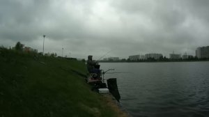 В три пикера! Чем отличается пикер от фидера.