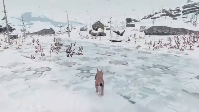 Shelter 2/Еще одно Полное Прохождение)