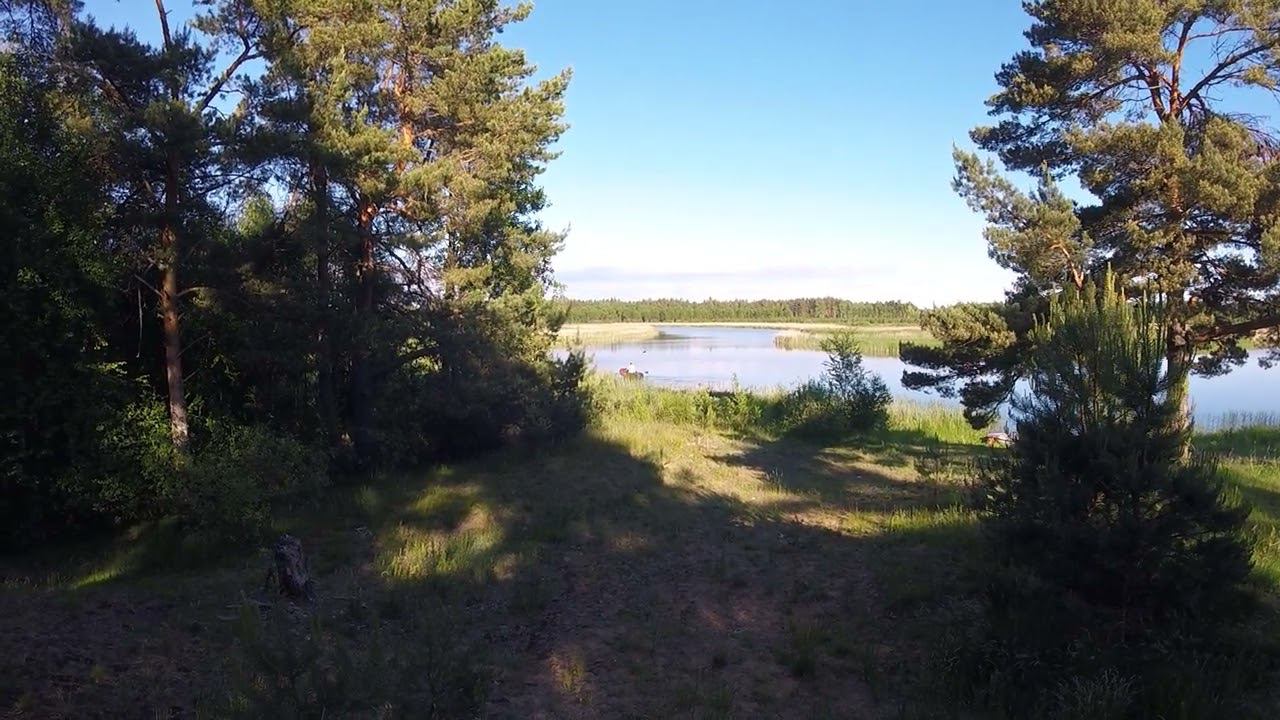 GOPR1380 смотреть онлайн