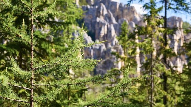 Ленские Столбы в Якутии - заповедник, природный парк России, всемирное наследие ЮНЕСКО: фото и виде смотреть онлайн