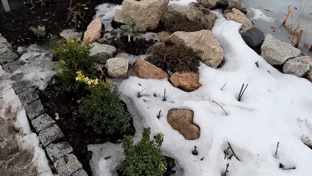 Водоём после зимы. смотреть онлайн