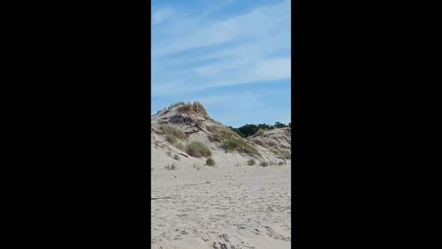 Куршская коса! Калининград, Зеленоградск. смотреть онлайн