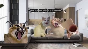 ПОВАР СПРАШИВАЕТ ПОВАРА!
