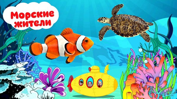 Морские животные для детей - Учим морских животных - Мультик морские животные - Морские животные.