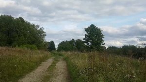 озерное 2019 ленинградская область