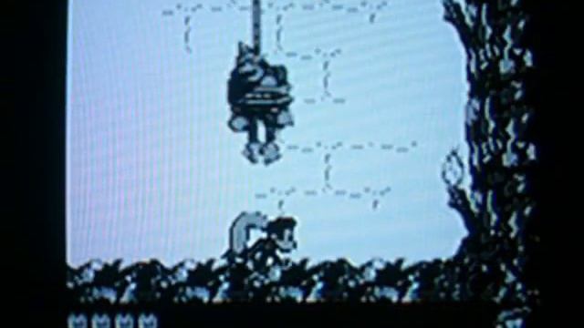 Donkey Kong Land 2 - Stronghold Showdown смотреть онлайн