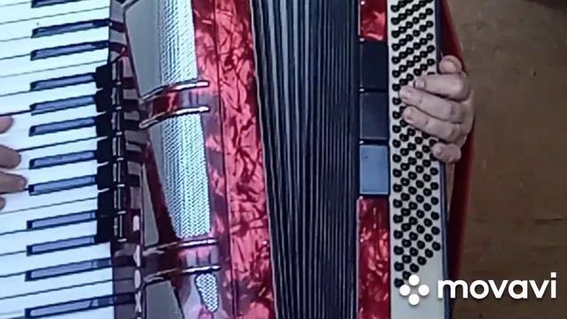 АККОРДЕОН"ТОНКАЯ РЯБИНА" АККОРДАМИ,КАК НА ГИТАРЕ. смотреть онлайн